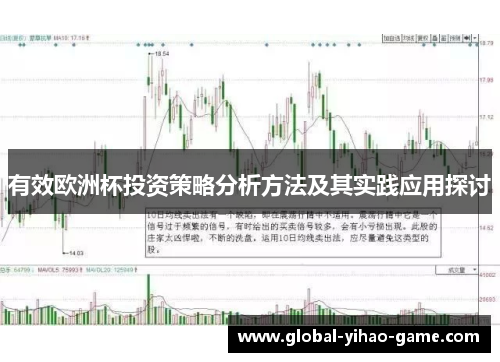 有效欧洲杯投资策略分析方法及其实践应用探讨