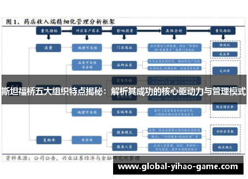 斯坦福桥五大组织特点揭秘：解析其成功的核心驱动力与管理模式